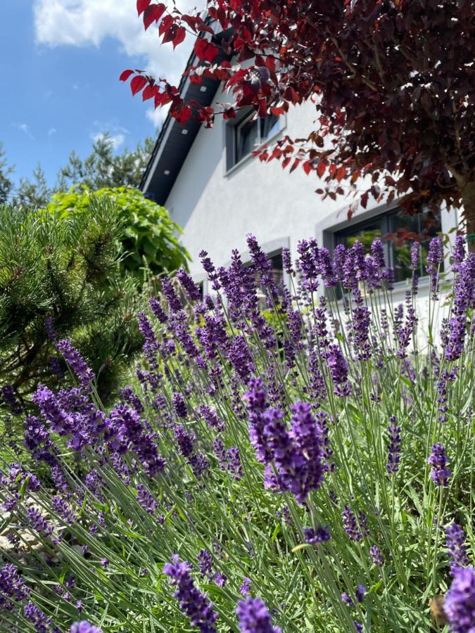 Hortus Apartament Z Klimatyzacja Boleslawiec  Kültér fotó