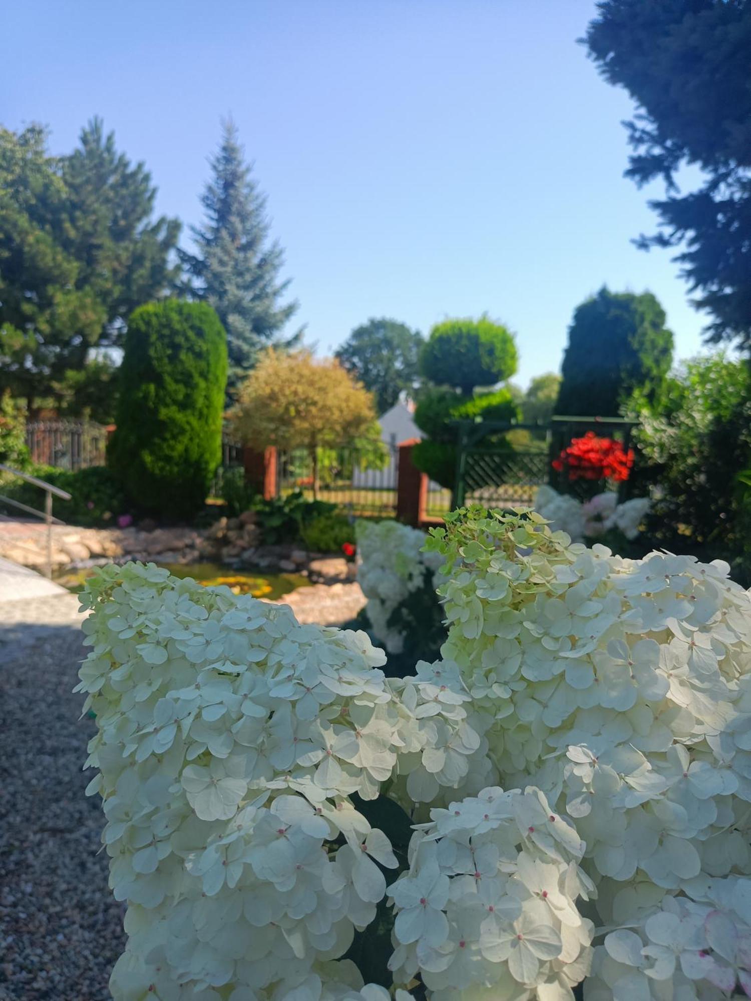 Hortus Apartament Z Klimatyzacja Boleslawiec  Kültér fotó