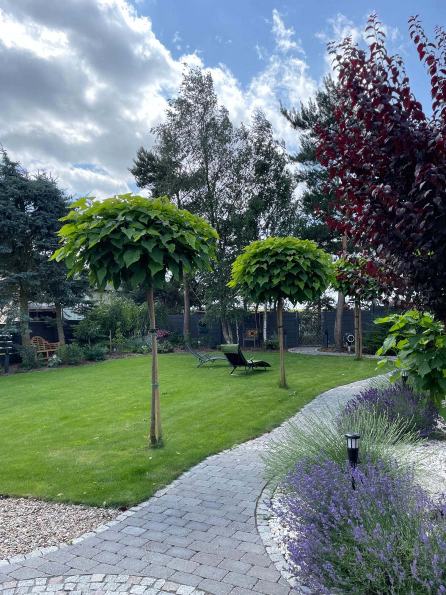 Hortus Apartament Z Klimatyzacja Boleslawiec  Kültér fotó