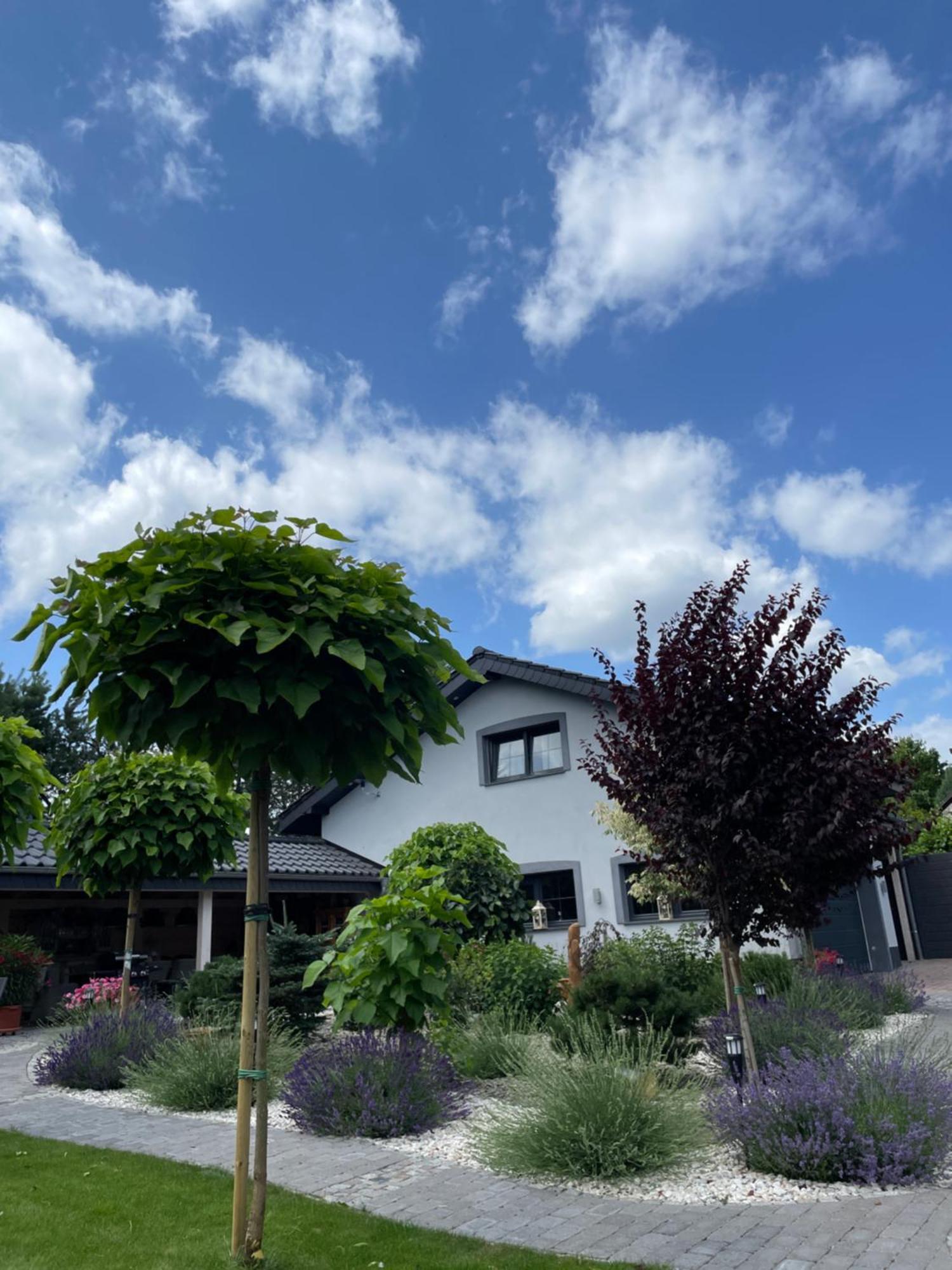 Hortus Apartament Z Klimatyzacja Boleslawiec  Kültér fotó